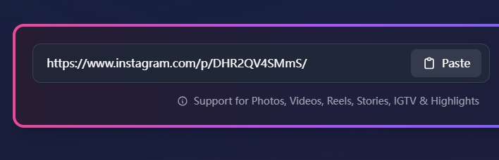 Step 2: Paste the link