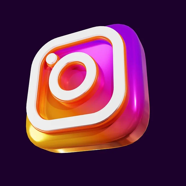Instagram Video Downloader